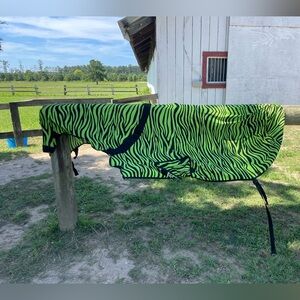 Green Zebra Print Horse Slinky